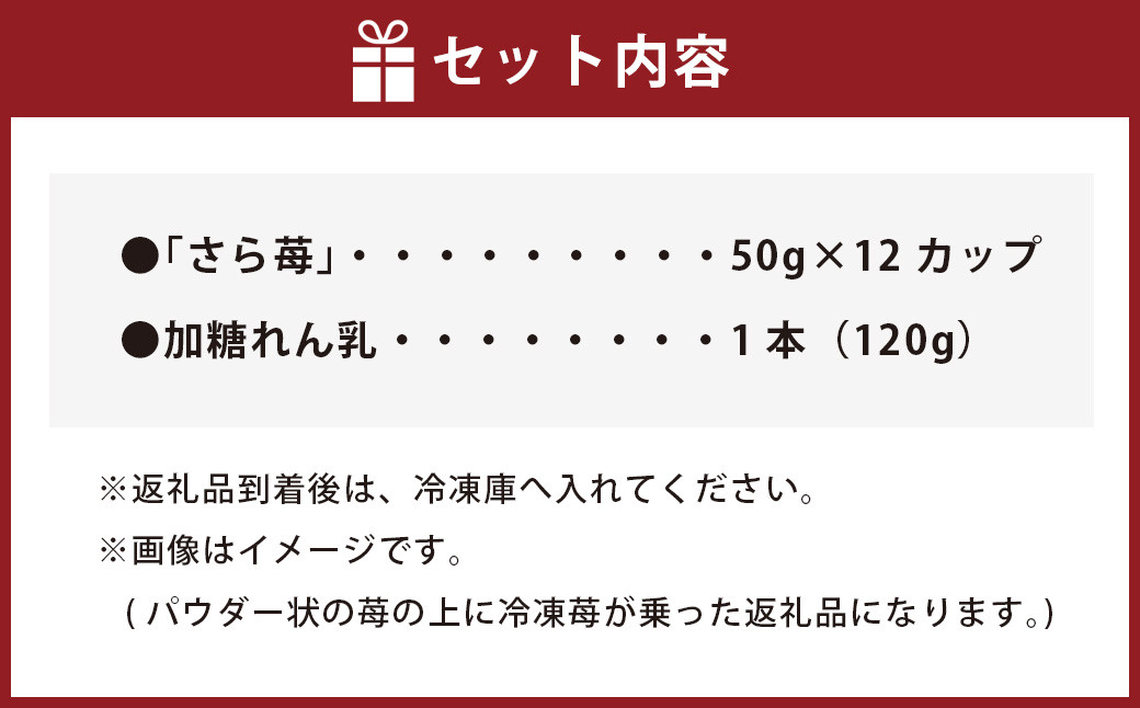 完熟 冷凍 いちご 「さら苺」 50g×12カップ 合計600g 練乳付き 1本（120g） 園村苺園