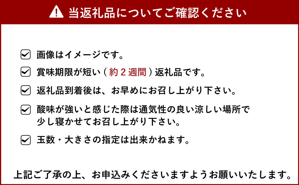 【先行受付】山口果樹園 訳あり 不知火  約5kg L～3L混合【2025年2月上旬から4月上旬発送予定】不知火 しらぬい 蜜柑 くだもの フルーツ 果物