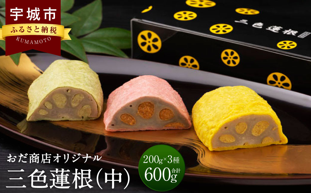 三色蓮根（中）約200g×3本 合計約600g 蓮根 れんこん レンコン からし わさび さくら 熊本県 宇城市