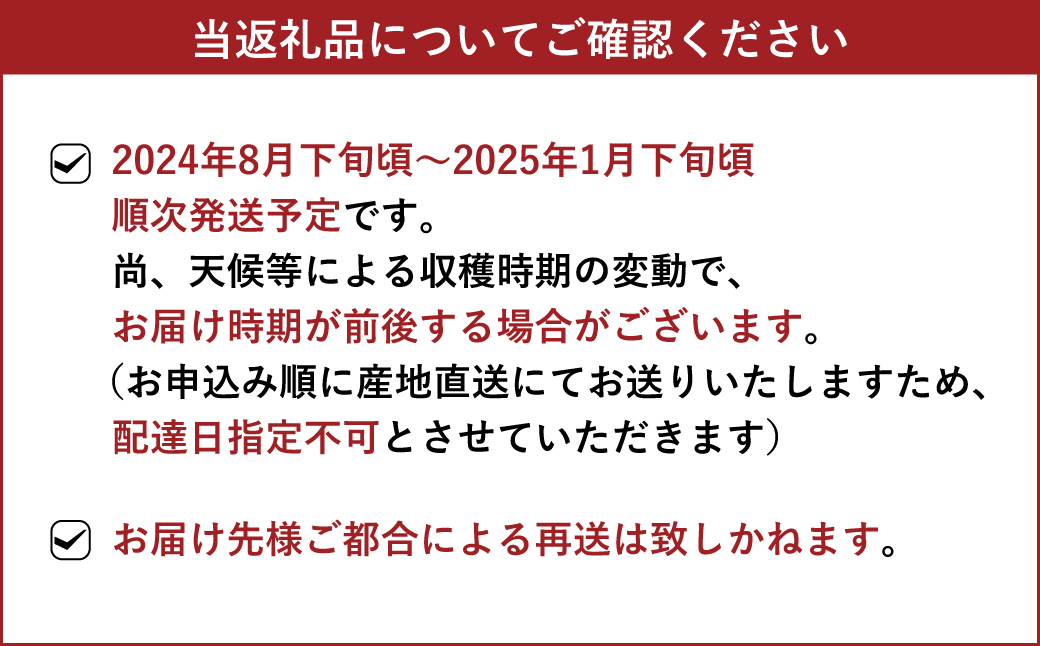 璃の香（りのか） 約3kg 10〜15玉 【吉田レモニー】【2024年8月下旬〜2025年1月下旬発送】檸檬 レモン れもん