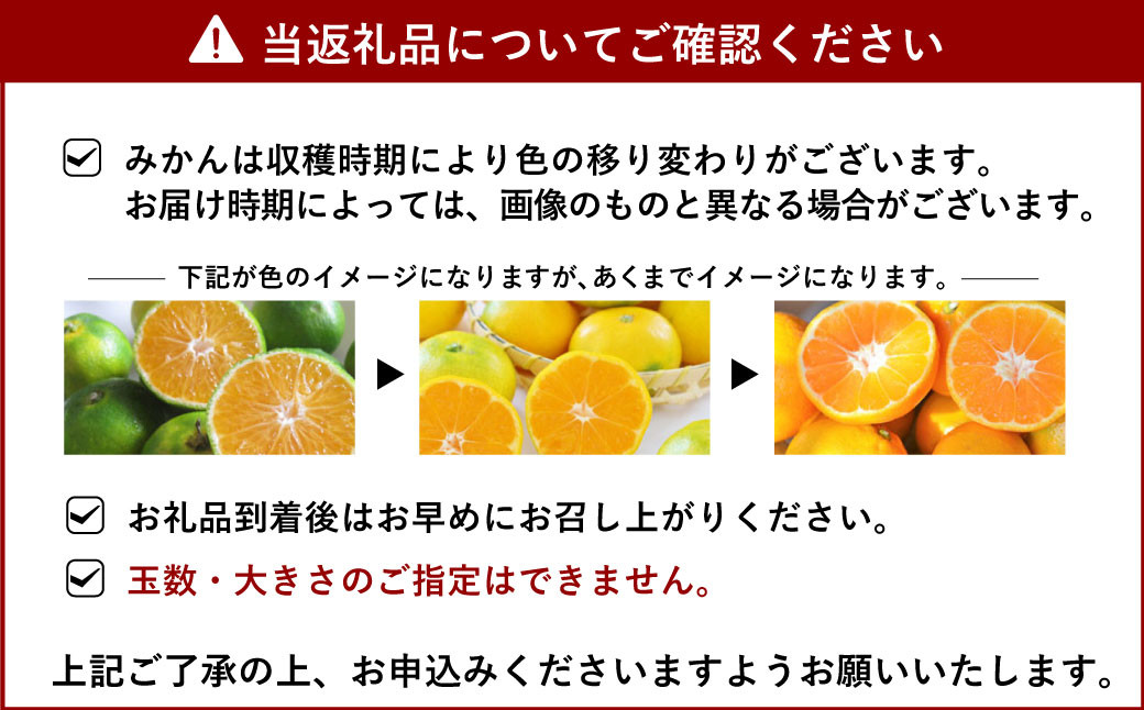 宇城市産 汐風みかん 等級「秀」約3kg 【のむちゃん農園】【11月上旬から2025年1月下旬発送予定】みかん オレンジ 果物 フルーツ 熊本県 