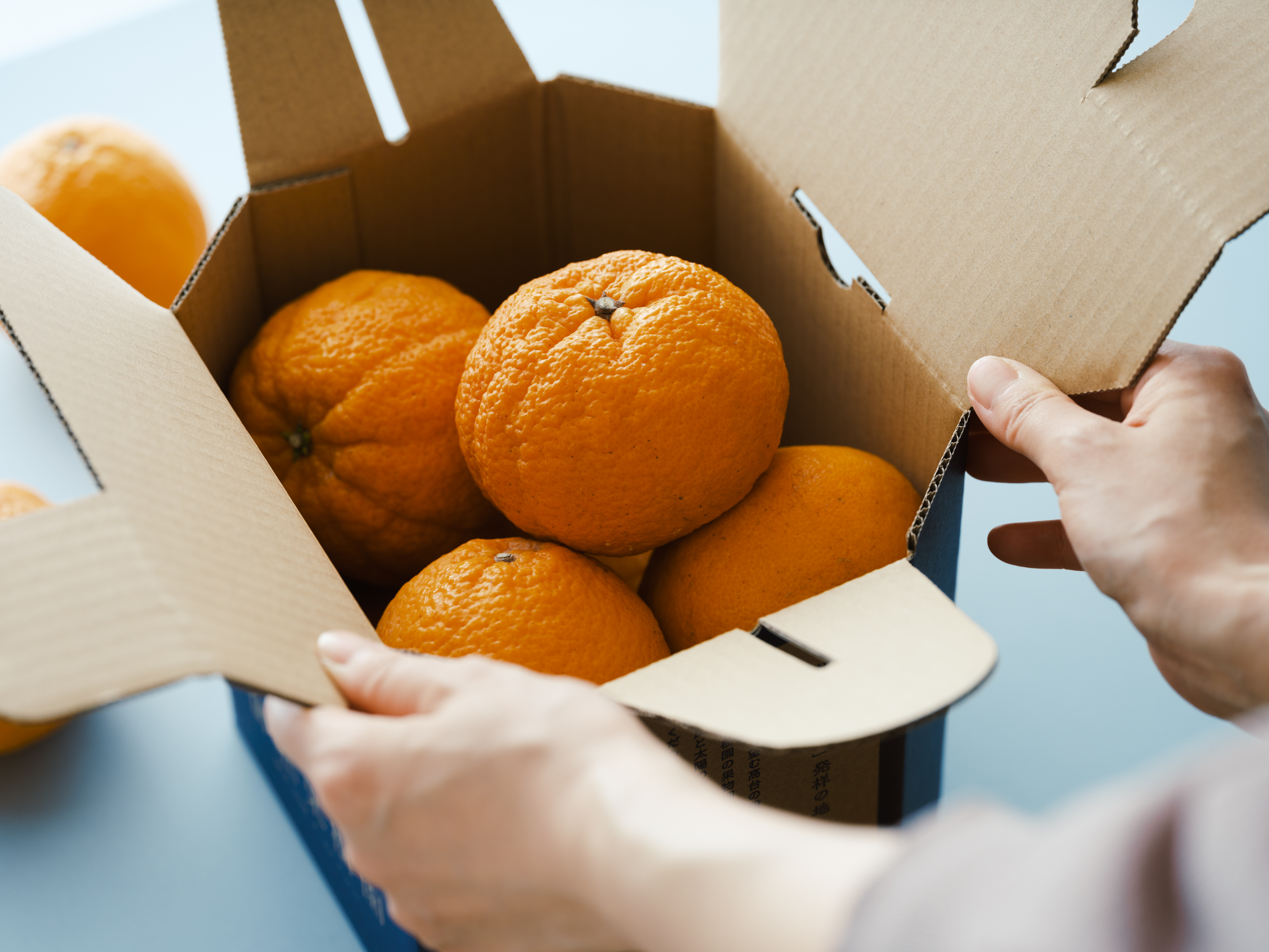 å
è¡äºçŽ èš³ãã äžç¥ç« æããäžç¥ç« éžã¹ã容é çŽ2kg ã2026幎4æäžæ¬ãã2026幎6æäžæ¬çºéäºå®ã åŸ¡è©ææš¹å ãããã äžæã ããã¬ã ææ© å®ååž çæ¬çç£