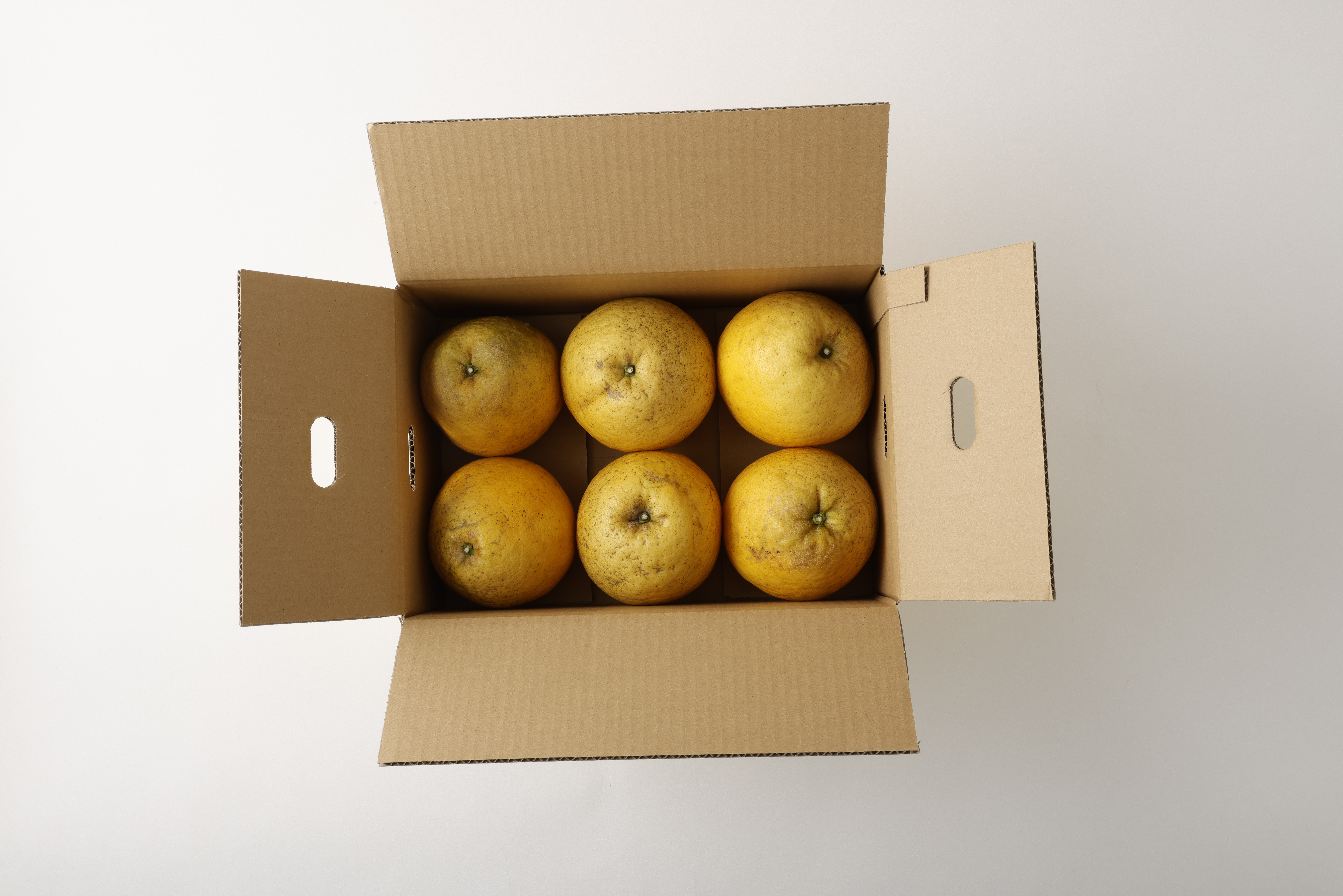 河内晩柑 ジューシーオレンジ 約4.5kg 【高橋果樹園】【2026年4月上旬から2026年6月下旬順次発送予定】晩柑 熊本県 宇城市 宇城市産河内晩柑 熊本県産河内晩柑 国産河内晩柑 