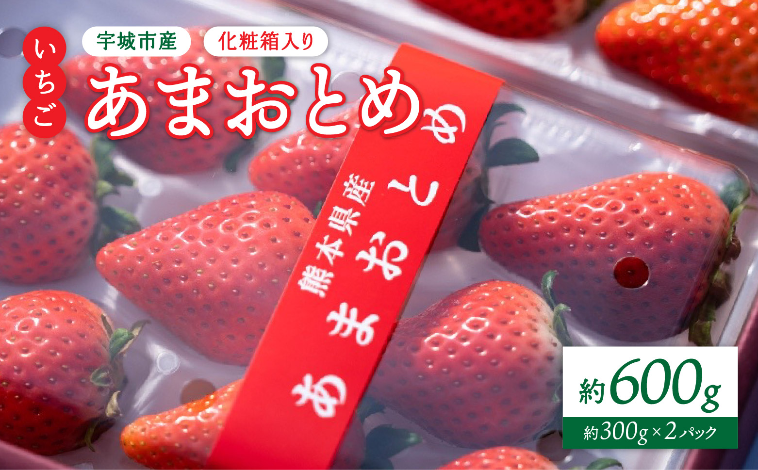 【2026年2月発送】 先行予約 いちご 化粧箱入り 宇城市産 あまおとめ 約600g（約300g×2パック） 【2026年2月上旬～2026年2月下旬頃発送予定】 合計600g 果物 くだもの フルーツ 果実 苺 イチゴ NAGATA FARM