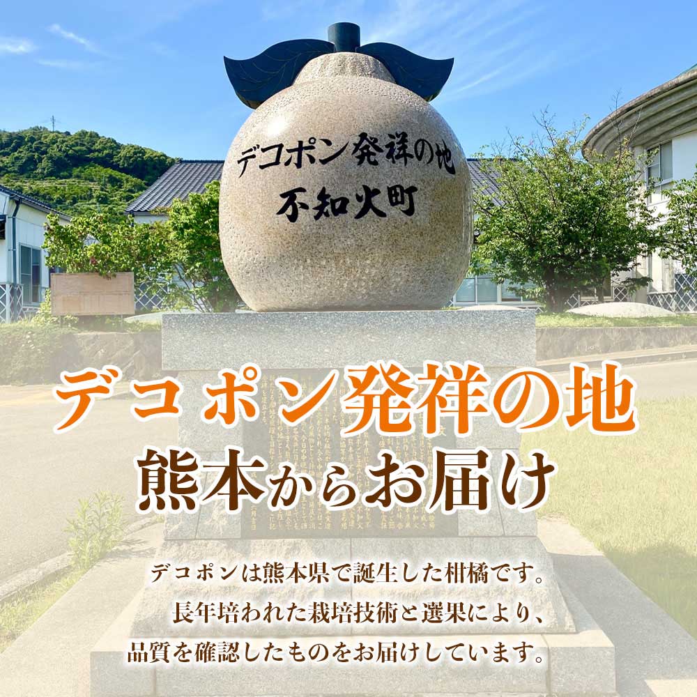 先行予約 デコポン 選べる容量 約3kg (6〜13玉)【2026年12月上旬〜2027年4月上旬配送予定】でこぽん 果物 フルーツ くだもの 柑橘 柑橘類 フルーツ 国産 熊本 熊本県 九州 産地直送 日本フルーツ