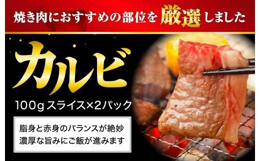 【熊本県産】 あか牛 焼肉 2種 食べ比べ セット モモ カルビ 計400g