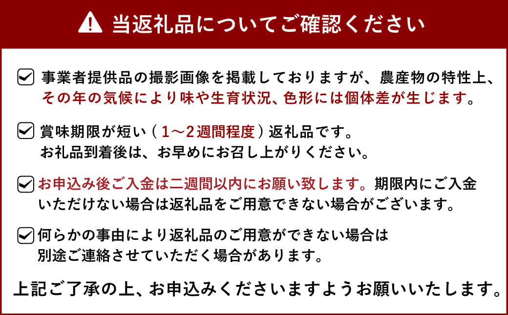 【先行予約】宇城市産 甘夏 約10kg【谷川果樹園】【2025年3月上旬～5月上旬発送予定】甘夏みかん 果物 くだもの フルーツ 柑橘 みかん 蜜柑