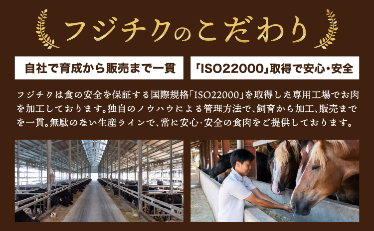 「熊本特産」切れてる馬刺し4種セット馬肉 馬刺し 赤身  スライス ユッケ 桜肉 切れてる カット済み 簡単 時短 食べ比べ セット 専門店 産地直送 本場 お取り寄せ ご褒美 贅沢 おつまみ 小分け 贈答 ギフト プレゼント 熊本県 宇城市 送料無料 フジチク