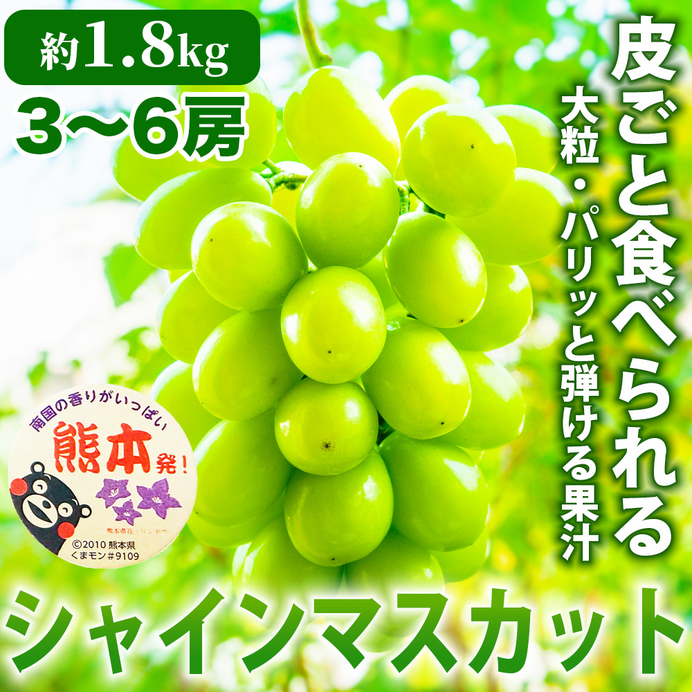 先行予約 シャインマスカット 約1.8kg （3〜6房）【2026年7月下旬〜2026年8月下旬配送予定】 フルーツ 果物 くだもの ぶどう ブドウ 葡萄 国産 高品質 高級 甘い 香り 産地直送 ご褒美 贅沢 デザート 日本フルーツ