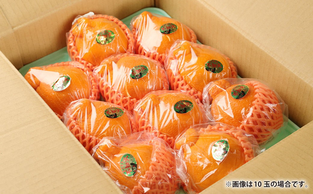 果実の宝箱 デコ柑(不知火) 約2.5kg 田辺農園