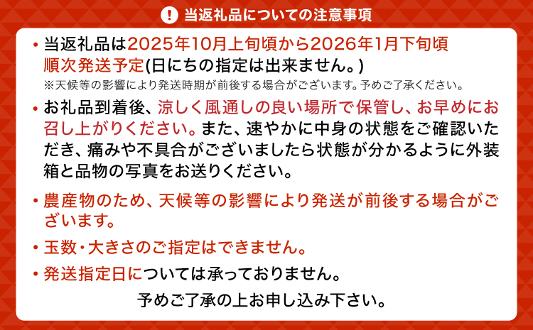 愛紅小町 あいかちゃん 約5kg 45〜55玉 【吉田レモニー】 【2025年10月上旬-2026年1月下旬発送】温州みかん