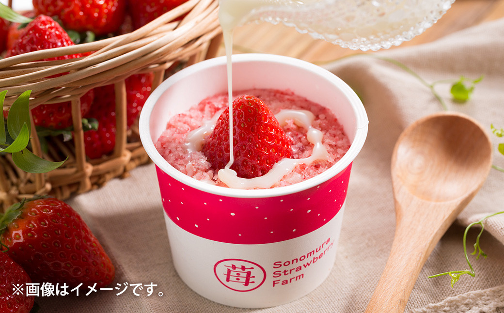 完熟 冷凍 いちご 「ぷち苺」 と 「さら苺」 各6カップ 合計12カップ（600g） 練乳付き 1本（120g） 園村苺園