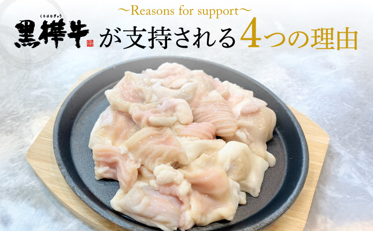 黒樺牛 ホルモン焼肉 みそタレセット 約1kg 200g×5 焼き肉 牛肉 もつ 牛ホルモン 和牛 牛 ブランド牛 おかず BBQ バーベキュー 味噌 肉の日 冷凍 九州産 ギフト プレゼント 贈り物