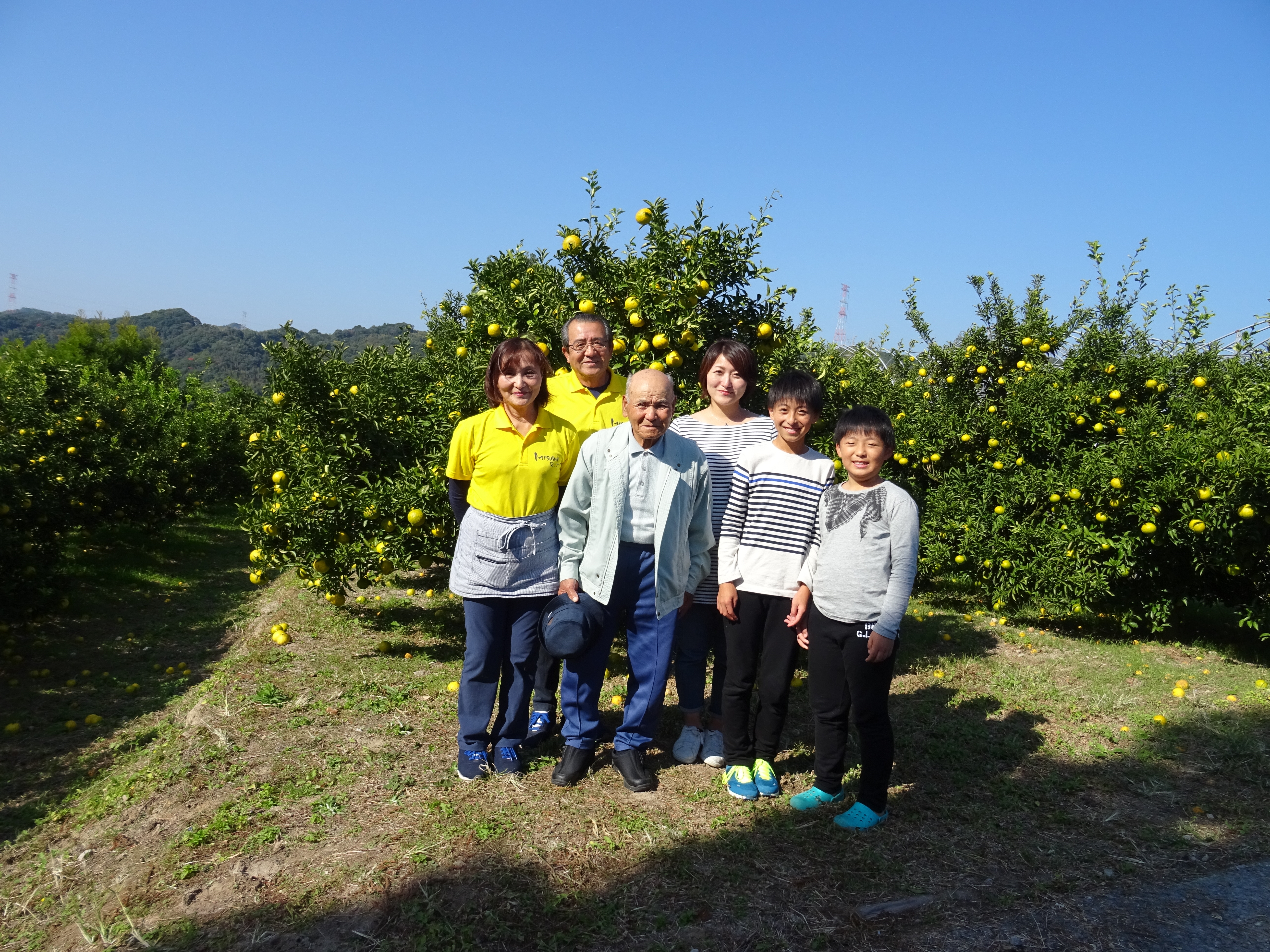 ãå
è¡äºçŽã ã¿ãã æŽ¥ã®èŒ ã€ã®ãããã çŽ3kg 15çã25ç ã2026幎2æäžæ¬ïœ2026幎4æäžæ¬é é æ¬¡çºéäºå®ã ææ© åœç£