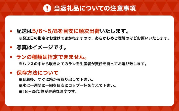 胡蝶蘭 花 母の日 ミディ胡蝶蘭 KouBou 大地 2本立ち 【2026年5月上旬頃発送予定】 プレゼント 蘭 ラン 洋蘭 ミディサイズ 観賞用 お祝い 贈答 贈答用 かわいい おしゃれ 鉢植え 風呂敷 インテリア 産地直送 送料無料 株式会社なかがわ