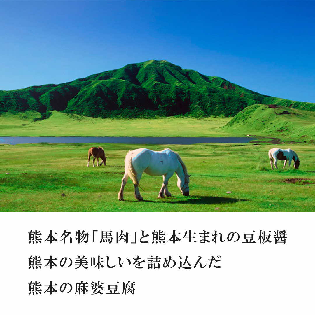 【大辛】馬婆豆腐の素 150g（2〜3人前）×5パック 馬婆豆腐 馬婆豆腐の素 豆板醤 馬肉 調味料