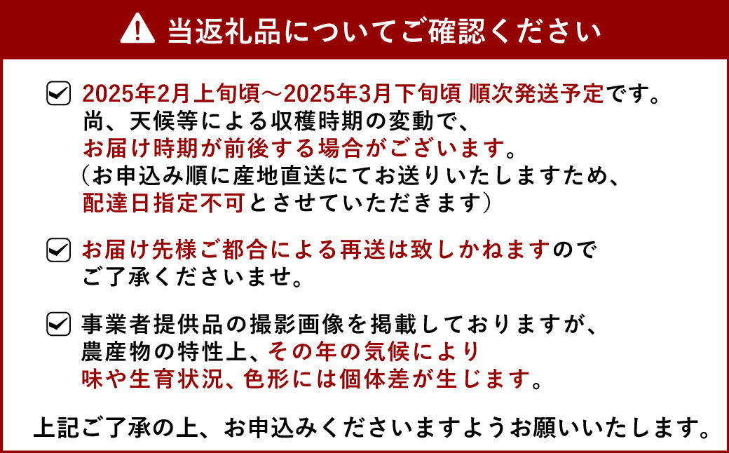 【先行受付】山口さん家の露地でこ不知火 約10kg L～3L 大小混合【2025年2月上旬から3月下旬発送予定】柑橘 果物 フルーツ