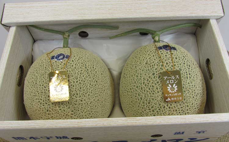 【先行予約】【2026年6月上旬〜6月下旬頃発送予定】アールスメロン 2玉入り 合計約3.4kg