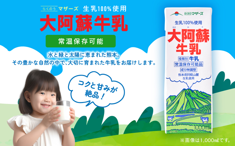 【1ヶ月毎6回定期便】 牛乳 大阿蘇牛乳 250ml 計144本 牛乳 定期便 常温保存 常温 らくのうマザーズ 大阿蘇牛乳 1ケース 250ml×24本 生乳100% ミルク 成分無調整牛乳