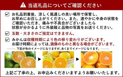 【11月上旬〜順次発送予定】早生みかん(美味柑）約5kg 果物 フルーツ 柑橘 宇城彩館