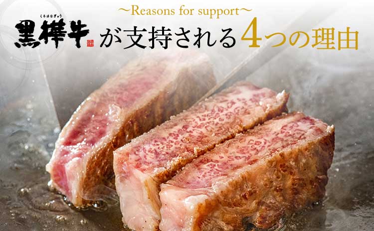 ãå®æäŸ¿ 1ã¶ææ¯3åã ä¹å·ç£é»æ¯åç 黿šºç ããŒã¹ã¹ã©ã€ã¹ ããçŒãçš èš750gïŒ250gÃ3åïŒ