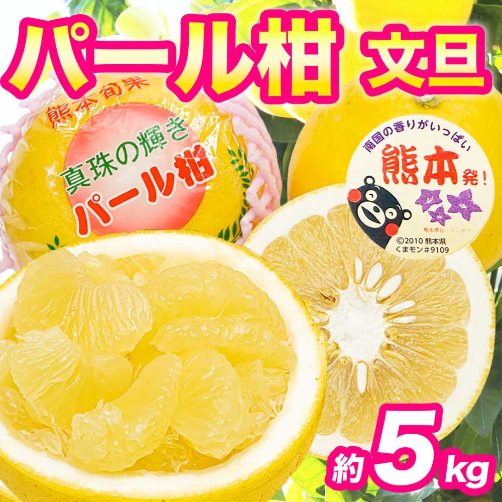 先行予約 パール柑 文旦 秀品 約5kg [2027年2月上旬〜2027年3月下旬配送予定]ぱーるかん ぶんたん 果物 フルーツ くだもの 柑橘 柑橘類 グレープフルーツ 国産 熊本 九州 産地直送 秀品 高品質 酸味控えめ 日本フルーツ