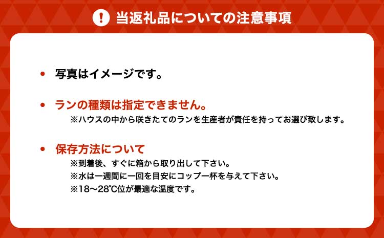 閭。陜カ陂ュ 辭頑悽逵檎肇 繝溘ョ繧」閭。陜カ陂ュ KouBou 遨コ 2譛ャ遶九■ 陂ュ 繝ゥ繝ウ 豢玖亊 繝溘ョ繧」繧オ繧、繧コ 隕ウ雉樒畑 雍育ュ皮畑 蜥後Δ繝繝ウ 繧、繝ウ繝繝ェ繧「 讀咲黄 繧ウ繝√Ι繧ヲ繝ゥ繝ウ 繝ゥ繝ウ繝繝 闃ア
