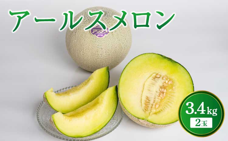【先行予約】【2026年6月上旬〜6月下旬頃発送予定】アールスメロン 2玉入り 合計約3.4kg