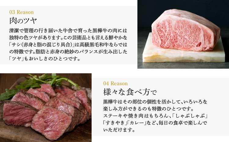 ä¹å·ç£é»æ¯åç ææ¬æ¬åº 黿šºç A4ãA5ççŽ ããŒã¹ã¹ããŒã 200gÃ2 èš400g