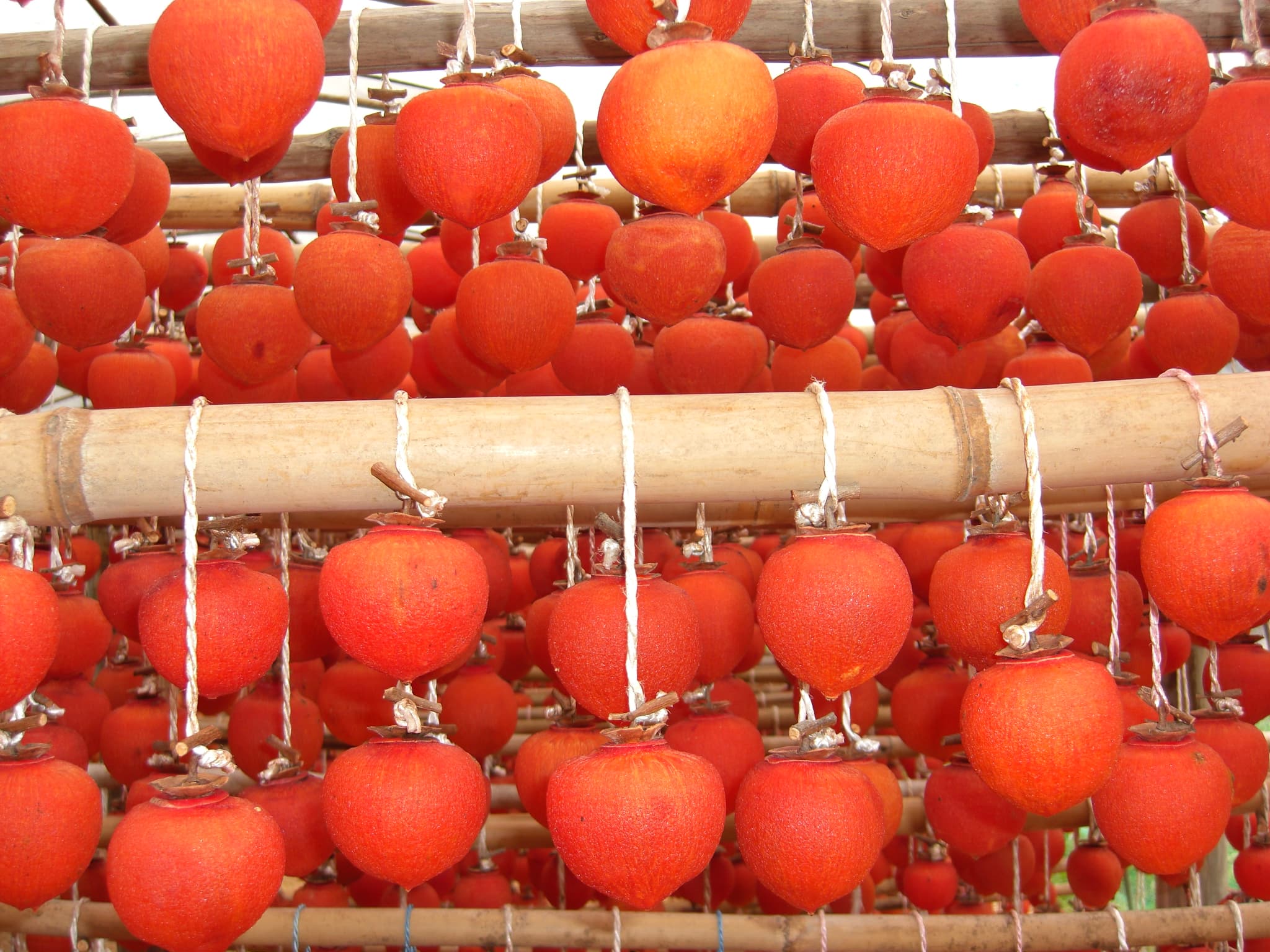 ãå
è¡äºçŽã å¹²ãæ¿ å·»æ¿ çŸå¹Žå€æš å·»ãæ¿ 1æ¬ å¹²æ¿ æ¿ ãã©ã€ãã«ãŒã èªç¶é£å äŒçµ±é£ ãè¶èå ä¹å·ç£ çæ¬çç£ å®ååžç£ 2026幎1æäžæ¬ãã3æäžæ¬çºéäºå®