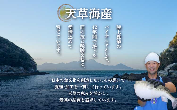 【ミシュラン2つ星店 採用】 とらふぐ ふぐ てっさ てっちり 2人前 刺身 フグ ひれ酒用 焼きひれ 海鮮 魚介類 冷凍 国産 熊本県産 【数量限定】1日25セット限定！ふぐの王様！とらふぐ国産最高級！天草 とらふぐ てっさ・ちり 満腹セット（2人前）