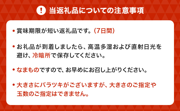 ãå
è¡äºçŽã äžç¥ç« èš³ãã çŽ8kg ããã¬ã ææ© ãã«ãŒã æç© æå® ã¿ãã èæ ãã«ã³ çæ¬ç å®ååžç£ ã2026幎2æäžæ¬ãã4æäžæ¬çºéäºå®ã
