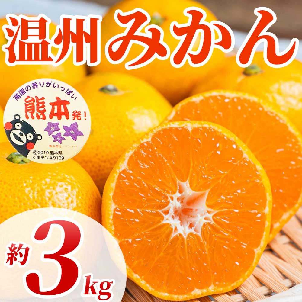 先行予約 温州みかん 約3kg (2S〜2L)[2026年10月上旬〜2027年2月下旬発送予定]みかん ミカン フルーツ 果物 柑橘 かんきつ 蜜柑 うんしゅうみかん ウンシュウミカン 熊本県 熊本 九州 宇城市 国産 高糖度 甘い ジューシー 日本フルーツ