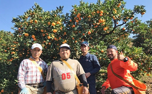 【11月上旬〜順次発送】宇城市産 温州みかん 約10kg 高橋果樹園