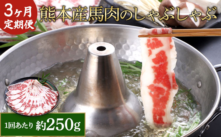 【3か月定期便】熊本産 馬肉の しゃぶしゃぶ 約250g
