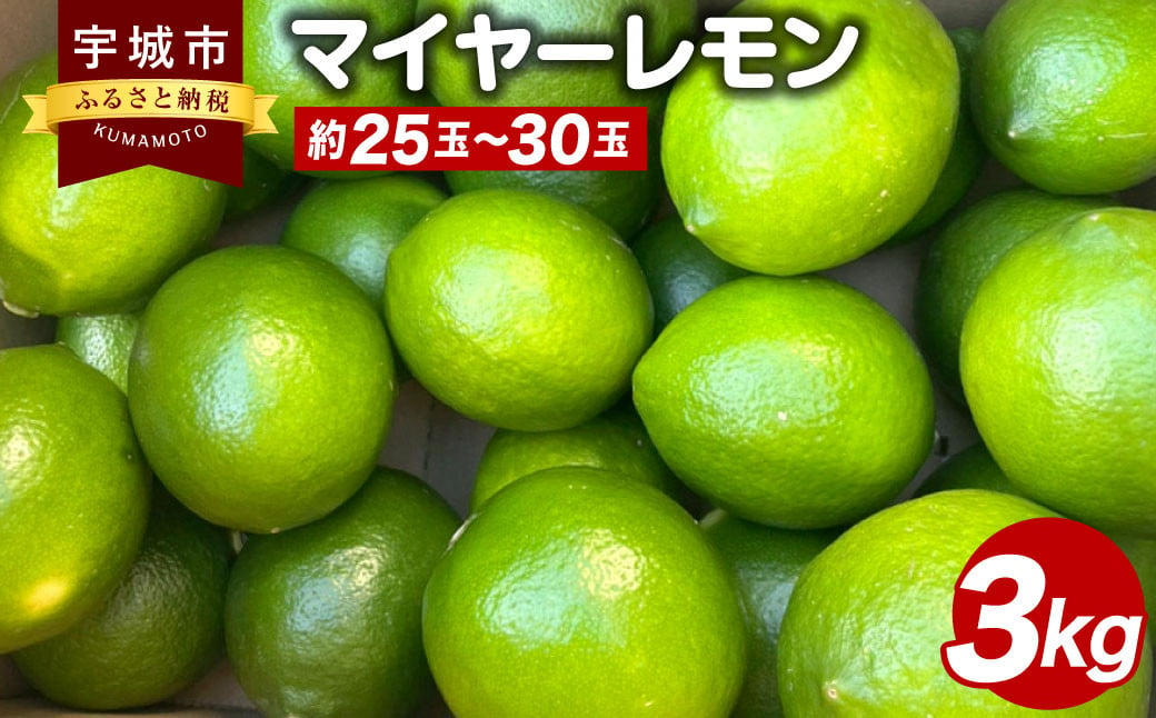 マイヤーレモン 3kg（25玉～30玉） 【ひかる農園】【9月上旬から12月下旬発送予定】レモン れもん 檸檬