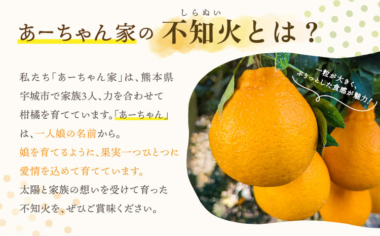 みかん 不知火 あーちゃん家の不知火 訳あり 10kg 約40〜50玉前後 【2026年4月上旬〜5月下旬発送予定】 わけあり しらぬい 柑橘 熊本県産 九州産 国産 宇城市産 
