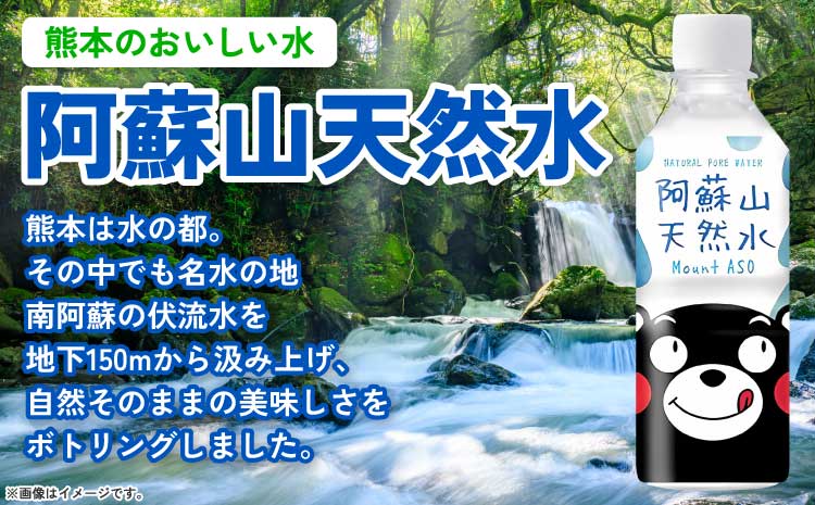 【12ヶ月定期便】熊本のおいしいお水 阿蘇山天然水 330ml×24本（1ケース）