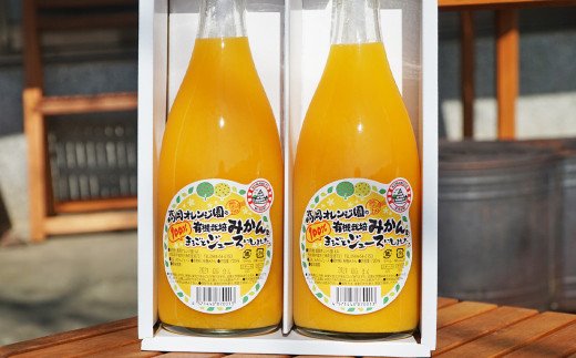 濃厚！みかんジュース 2本セット 720ml×2本 計1440ml 果汁100%