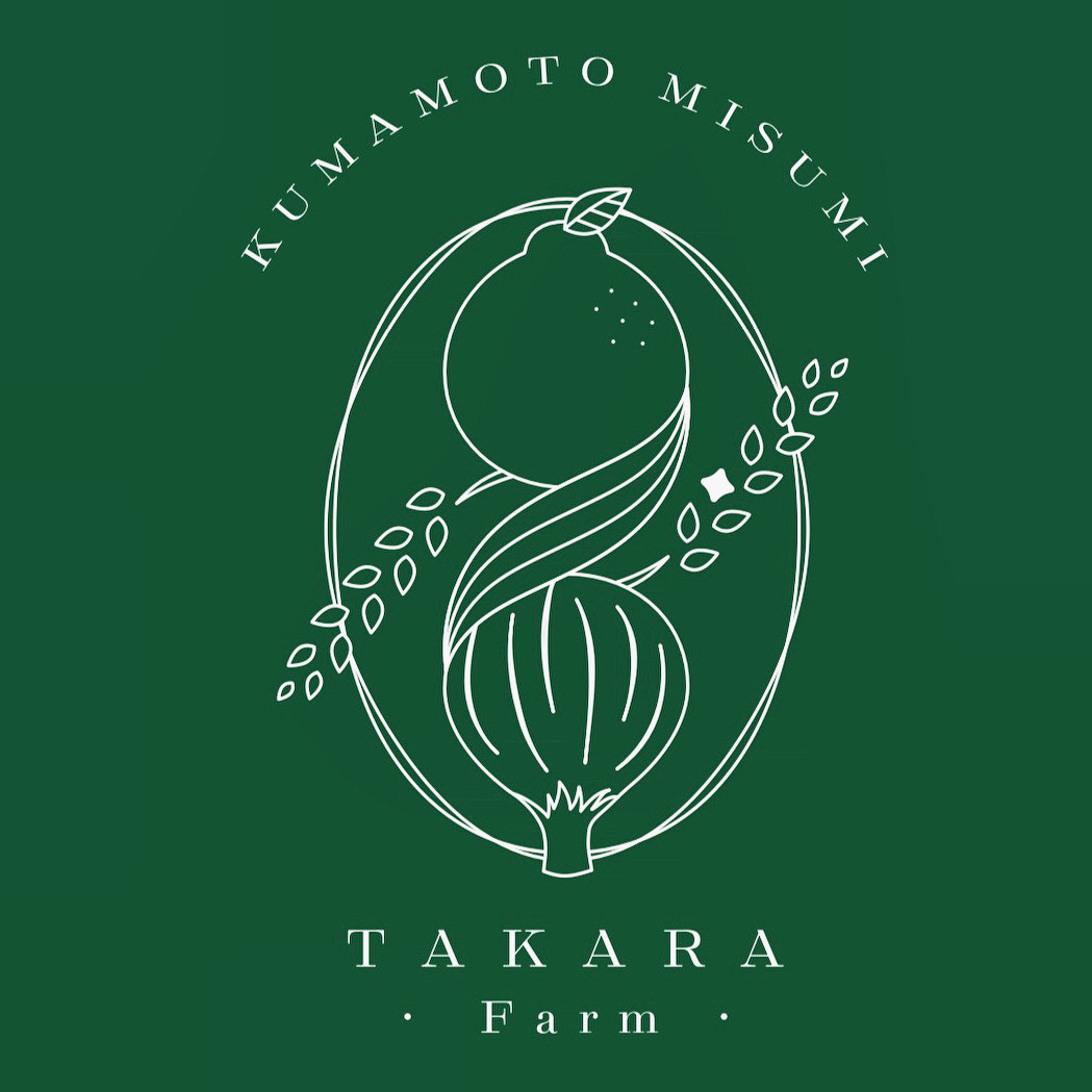 【6月中旬頃より順次発送予定】訳あり 冷凍 イチジク 約3kg【合同会社宝Farm】