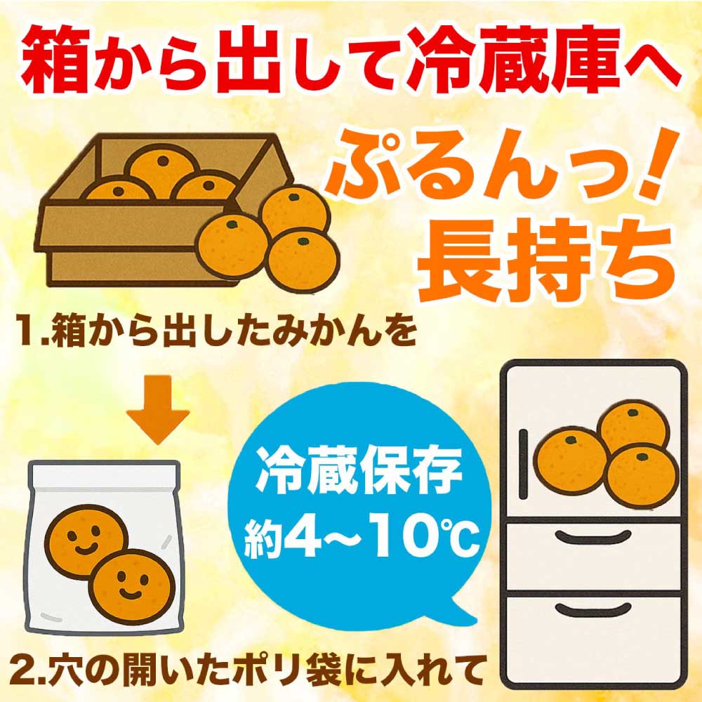 先行予約 温州みかん 約5kg (2S〜2L)【2026年10月上旬〜2027年2月下旬発送予定】みかん ミカン フルーツ 果物 柑橘 かんきつ 蜜柑 うんしゅうみかん ウンシュウミカン 熊本県 熊本 九州 宇城市 国産 高糖度 甘い ジューシー 日本フルーツ