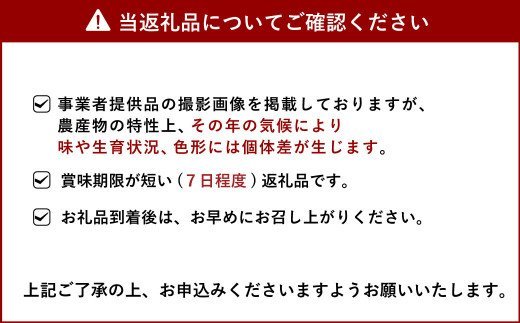 【9月下旬〜順次発送予定】宇城市産 極早生みかん 約10kg（3S〜Sサイズ）髙橋果樹園