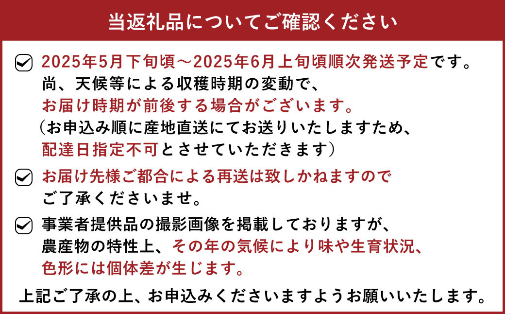 メロン（肥後グリーン）2玉入り 合計約3kg～約4kg【サンサンうきっ子宇城彩館】【2025年5月下旬から6月上旬発送予定】