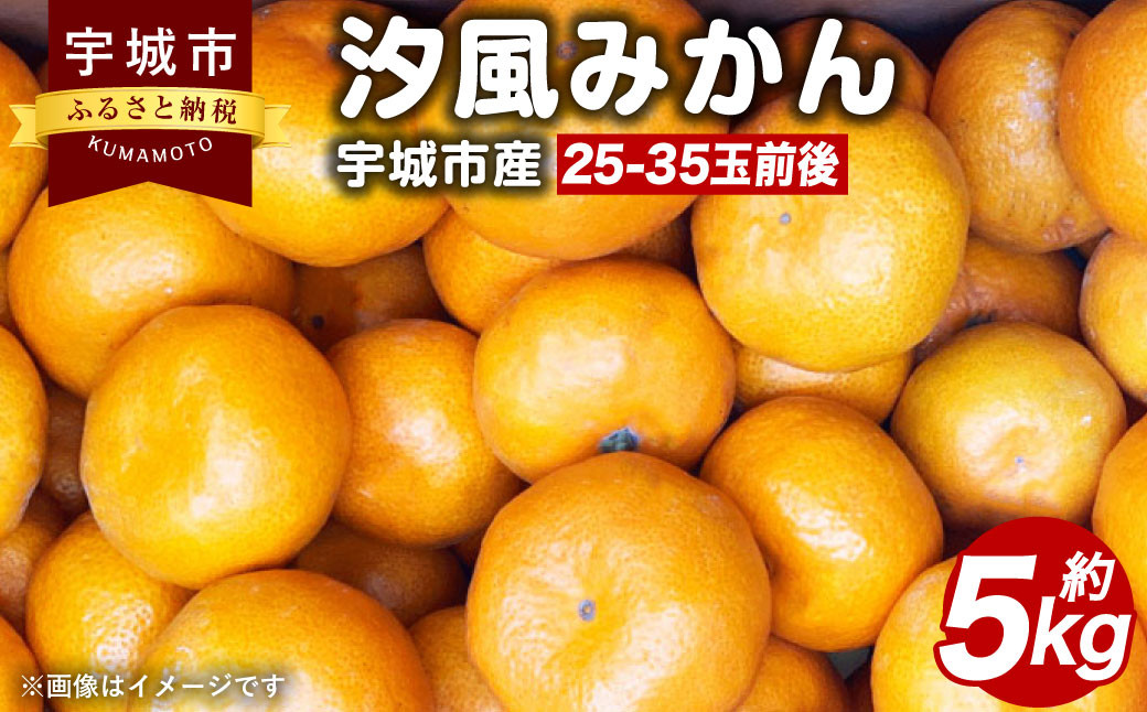 宇城市産 汐風みかん 約5kg【のむちゃん農園】【11月上旬から2025年1月下旬発送予定】みかん オレンジ 果物 フルーツ 熊本県 