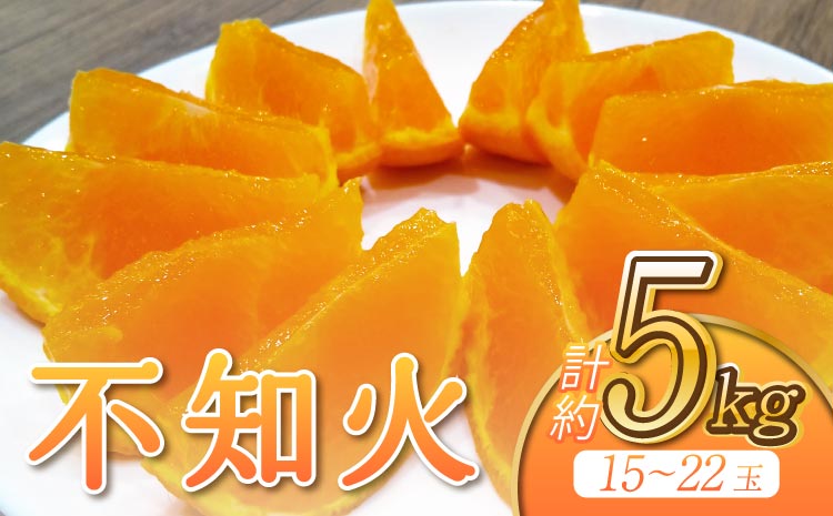 先行予約 不知火 約5kg（15～22玉） 【2026年3月上旬〜4月下旬発送予定】 しらぬい 柑橘類 みかん ミカン 蜜柑 果物 フルーツ 宇城市産 熊本県産 九州産 ひがし果樹園