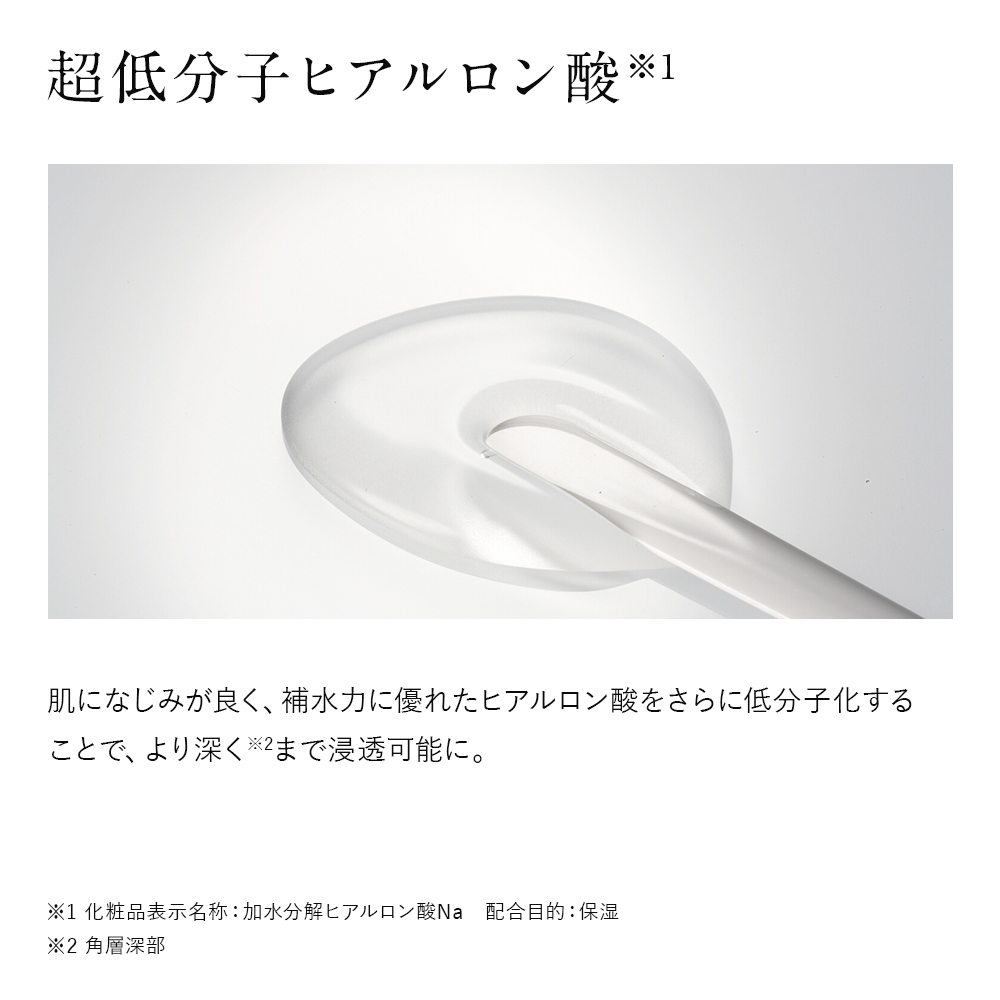 ドモホルンリンクル うるおいベーシック 保湿液×1本 約60日分 保護乳液×1本 約70日分 再春館製薬所 化粧水 乳液 スキンケア フェイスケア