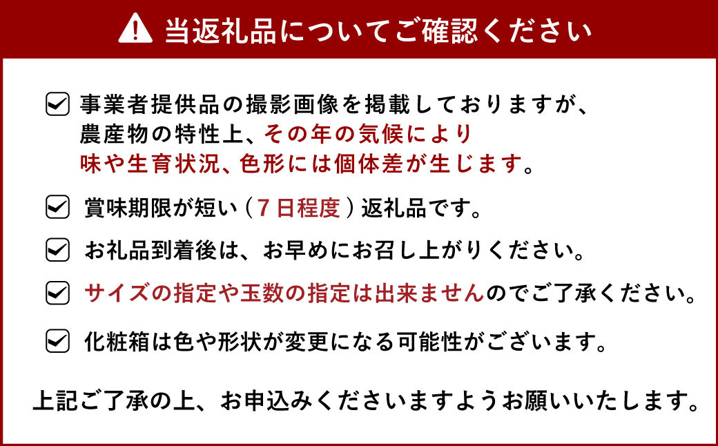 宇城市産 温室ハウス栽培 プレミアム 完熟 不知火（化粧箱入り）3kg 髙橋果樹園【2024年12月下旬から2025年1月下旬発送予定】しらぬい みかん ミカン 柑橘 果物 くだもの フルーツ