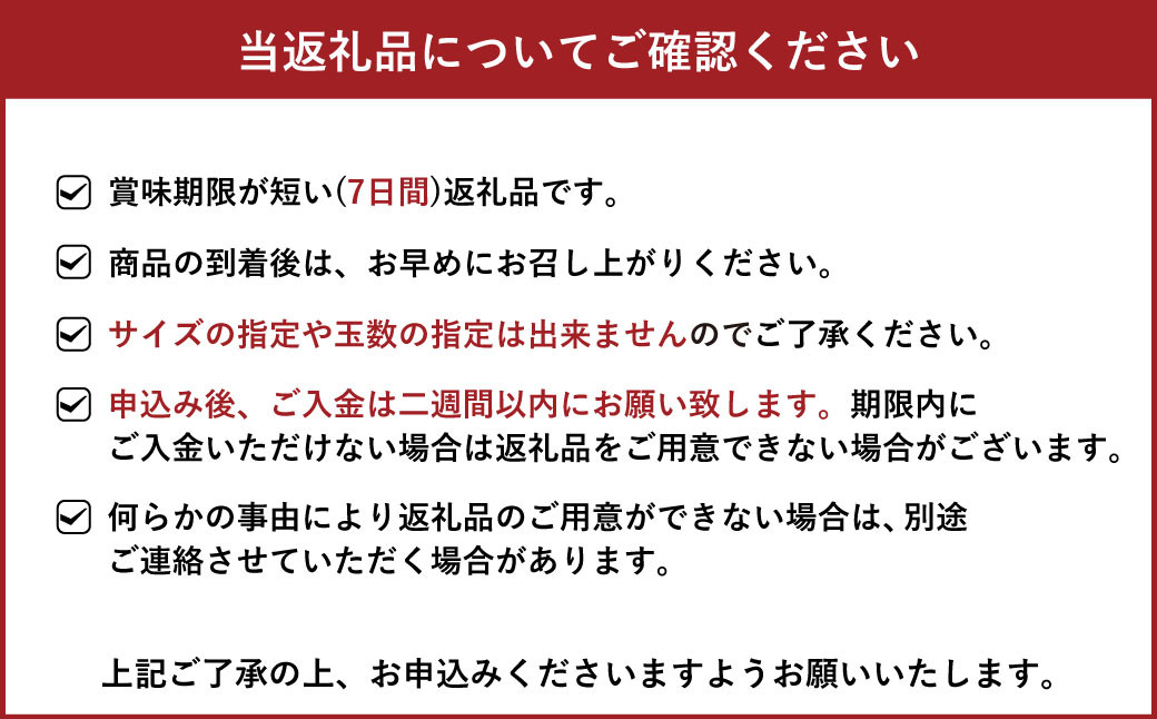 【2023年12月上旬より順次発送】 宇城市産 温室ハウス栽培 プレミアム完熟不知火 約5kg 髙橋果樹園