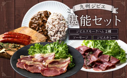 九州 ジビエ 堪能 セット（ハム2種・ソーセージ3本・カレー2パック）熊本県宇城市産 猪肉 イノシシ肉