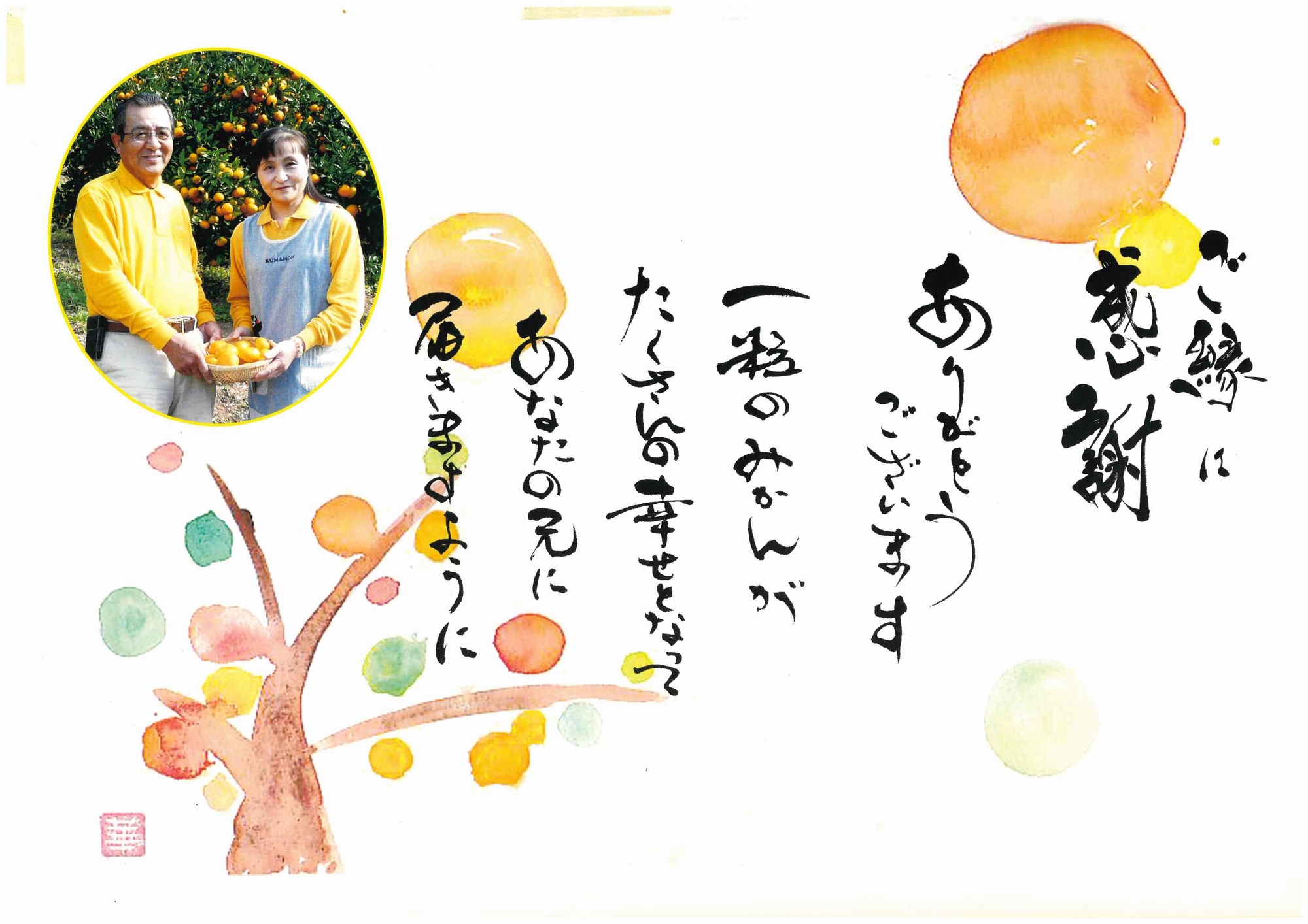 愛紅小町 あいかちゃん 約5kg 45〜55玉 【吉田レモニー】 【2025年10月上旬-2026年1月下旬発送】温州みかん